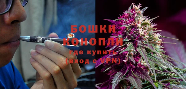 дурь Алзамай