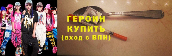 индика Няндома