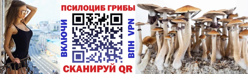Псилоцибиновые грибы мицелий  наркота  Константиновск 